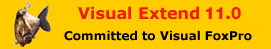 Visual Extend 10.0